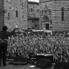 pistoia blues festival foto 2008 john lee hooker jr 2-1